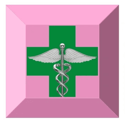 Holistic Evaluations